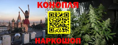 крисы Бузулук