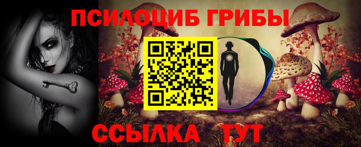 Псилоцибиновые грибы Psilocybe Осинники