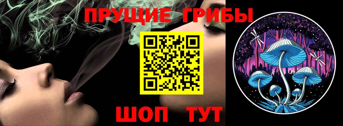 Псилоцибиновые грибы прущие грибы  Вход с VPN  Осинники 